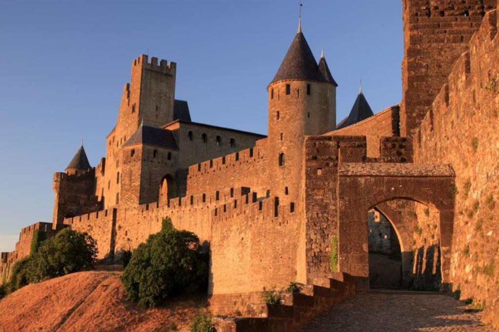 Appartement 3 Chambres Proche Centre Ville Carcassonne Dış mekan fotoğraf